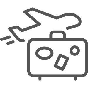 Plane icon
