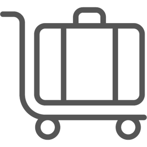 Suitcase icon